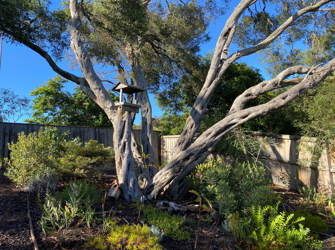 Sunny Side Up B&B主图