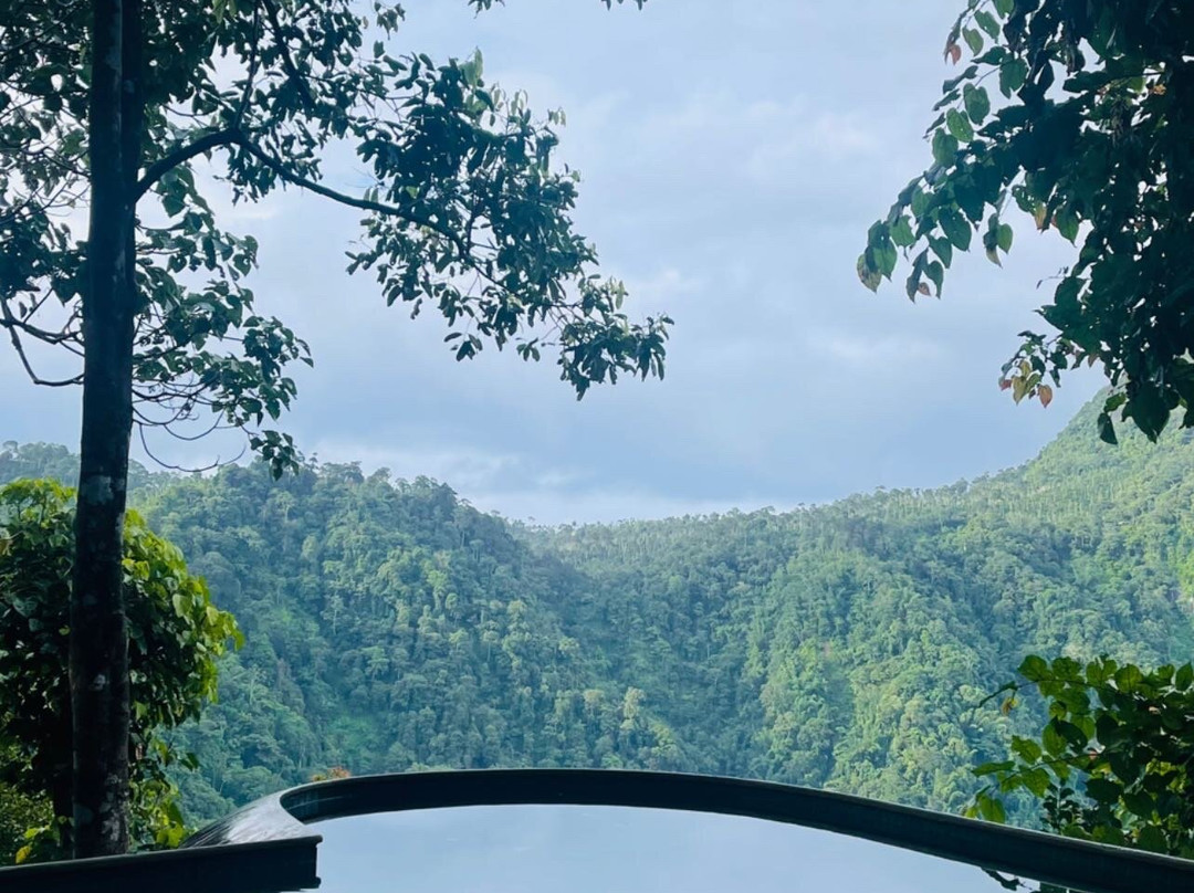 Chembarathi Wayanad主图