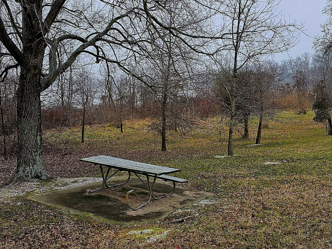 John Smith Roadside Park景点图片