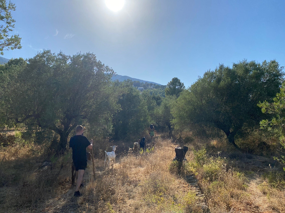 Euro Goat Trekkers景点图片