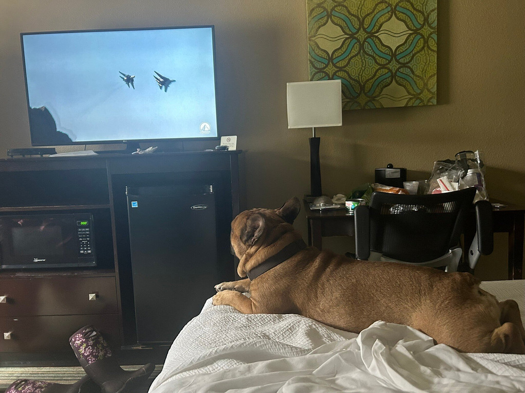 Best Western Long Beach Inn主图