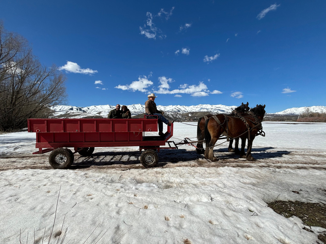 Thurston Farms-Morgan必去景点
