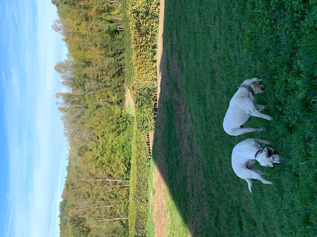 Maurilio Vaira Tenuta del Barone-Narzole必去景点