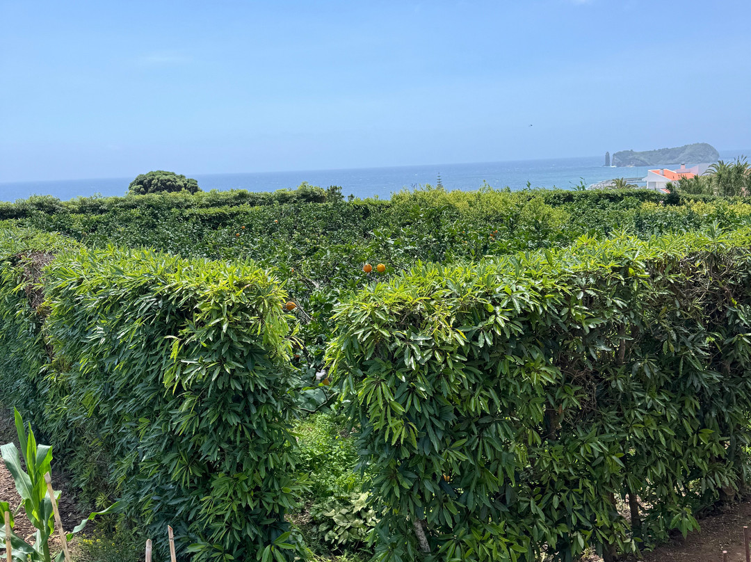 Manuel Rainha Winery景点图片