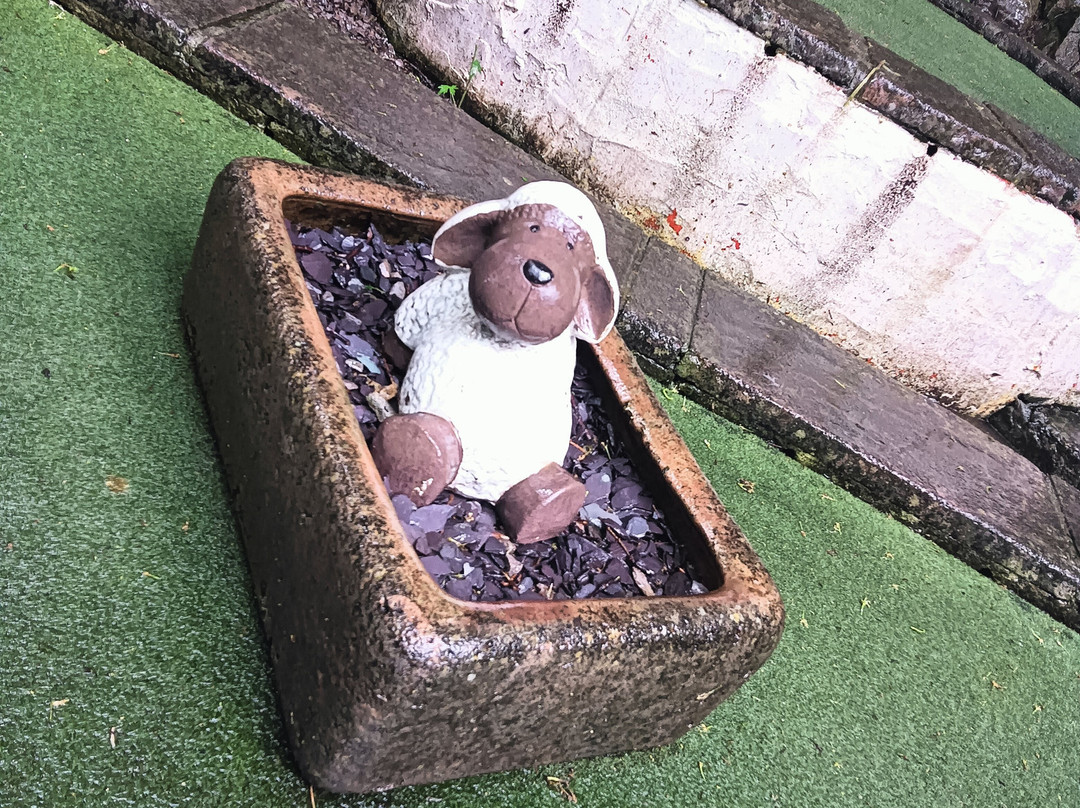 Cheddar Crazy Golf-Cheddar必去景点