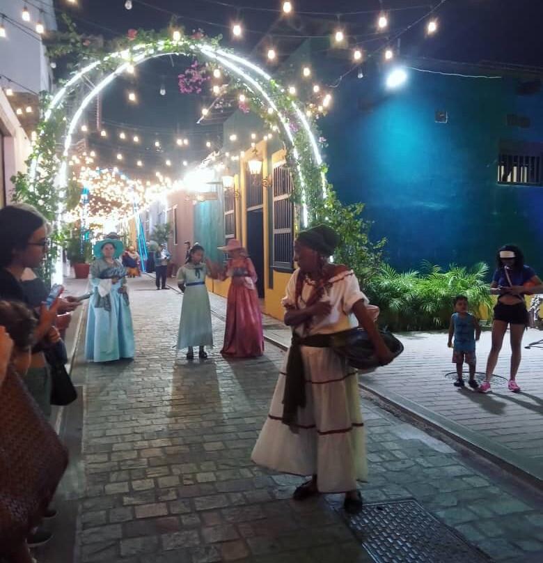 Calle Bolivar景点图片