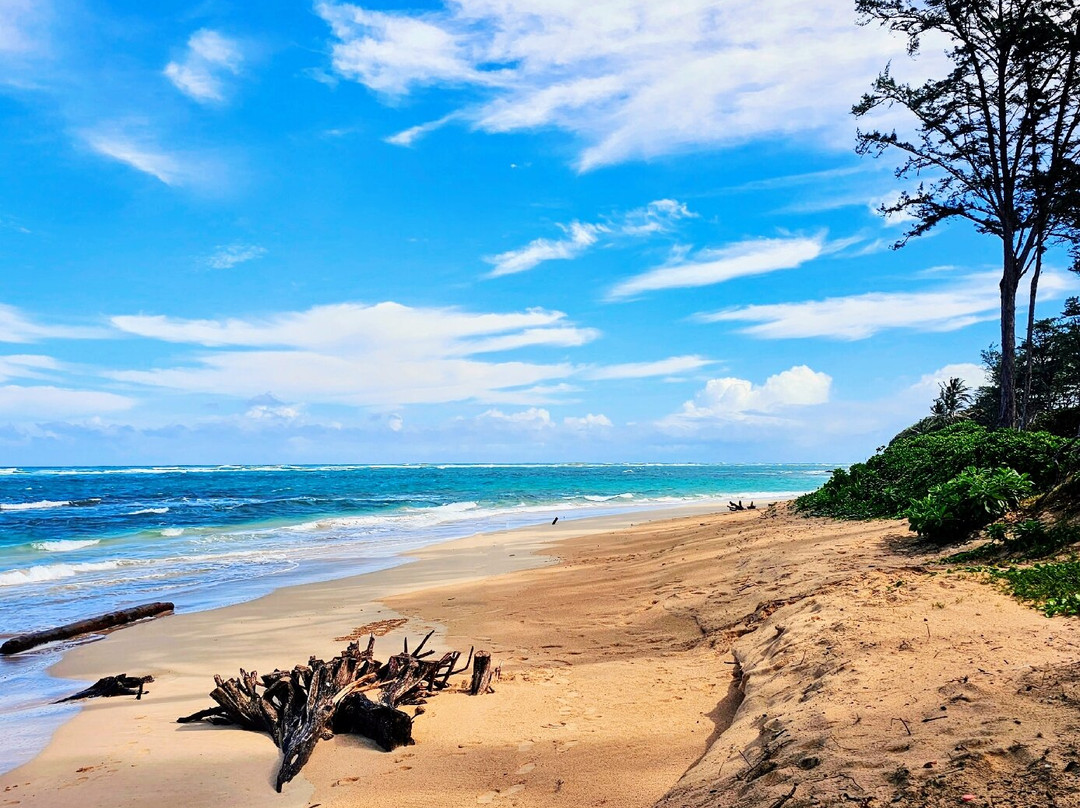 Kokololio Beach Park-哈乌乌拉必去景点