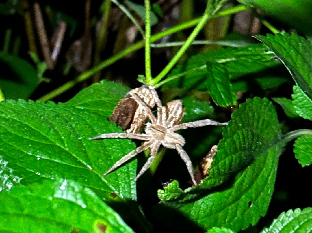 GreenPoint Drake Bay主图