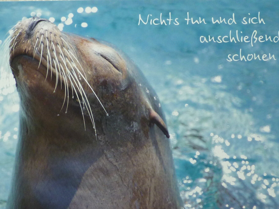 索纳霍夫环形酒店主图