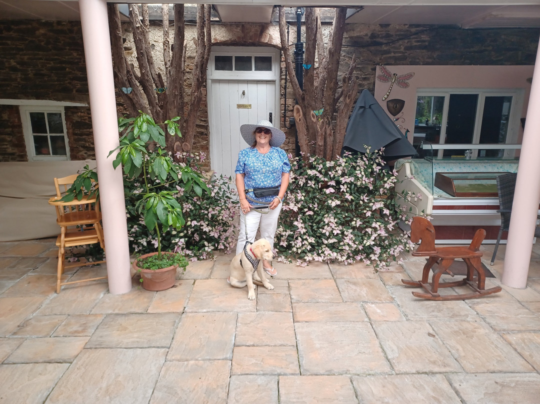 Kilmokea Country Manor & Gardens主图