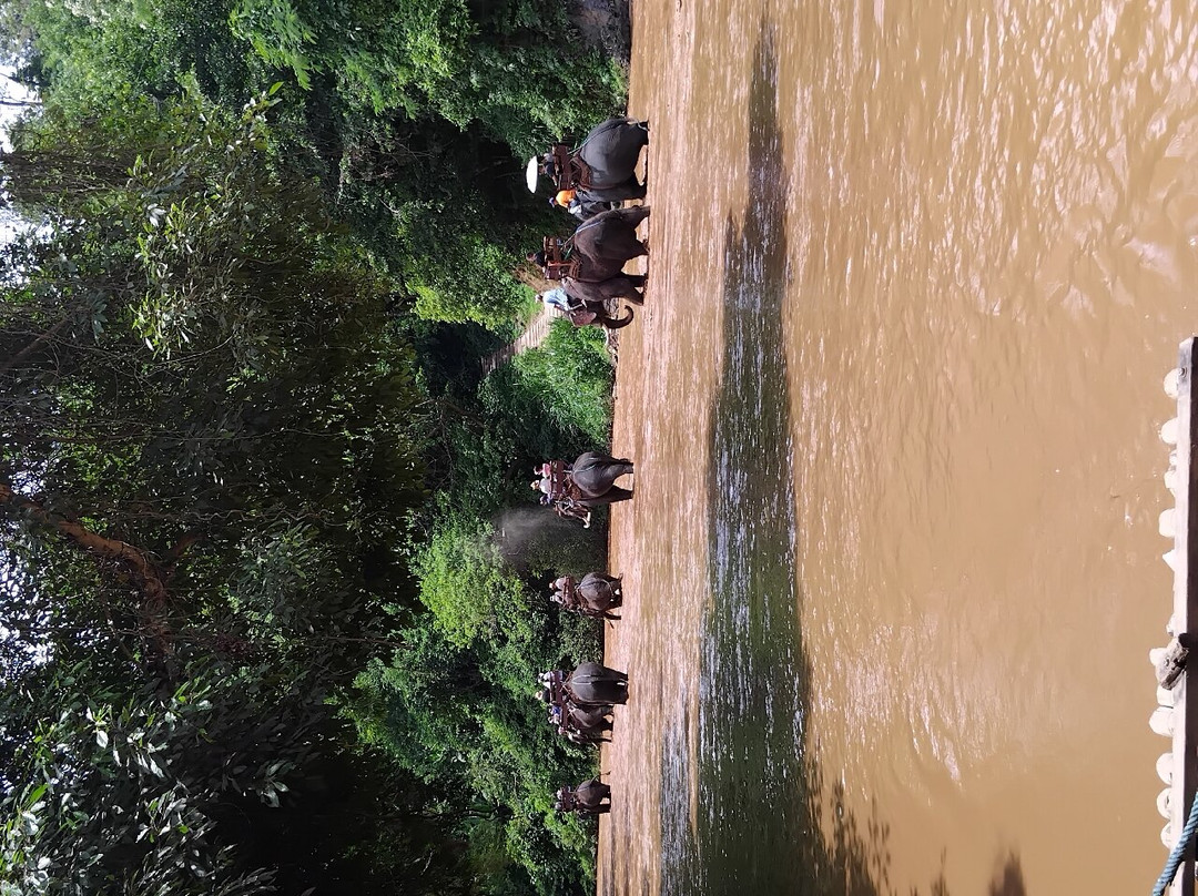 Maetaeng Elephant Park-夜登必去景点