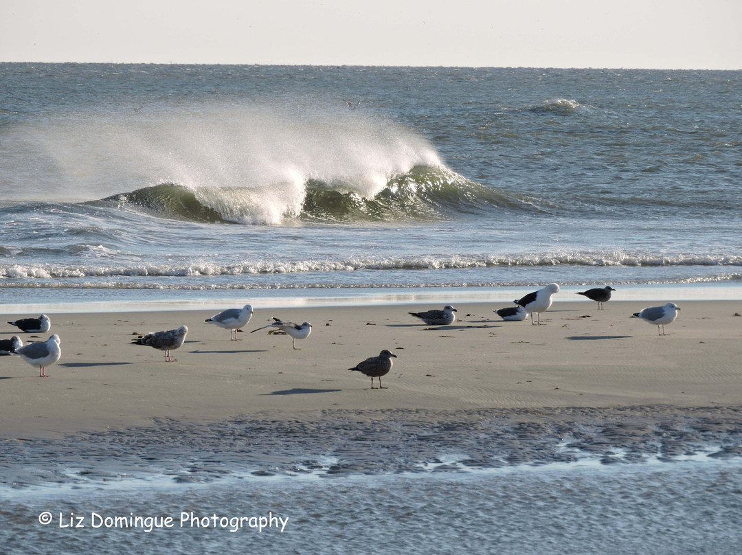 Just Get Outdoors-汤森必去景点