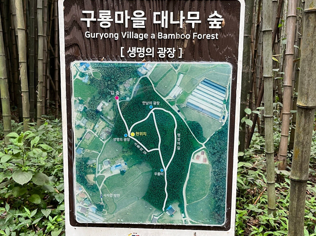 Guryong Village Bamboo Forest-益山市必去景点