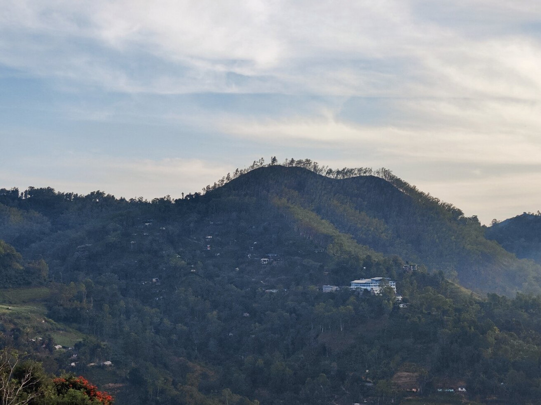 Brisk Ella Retreat主图