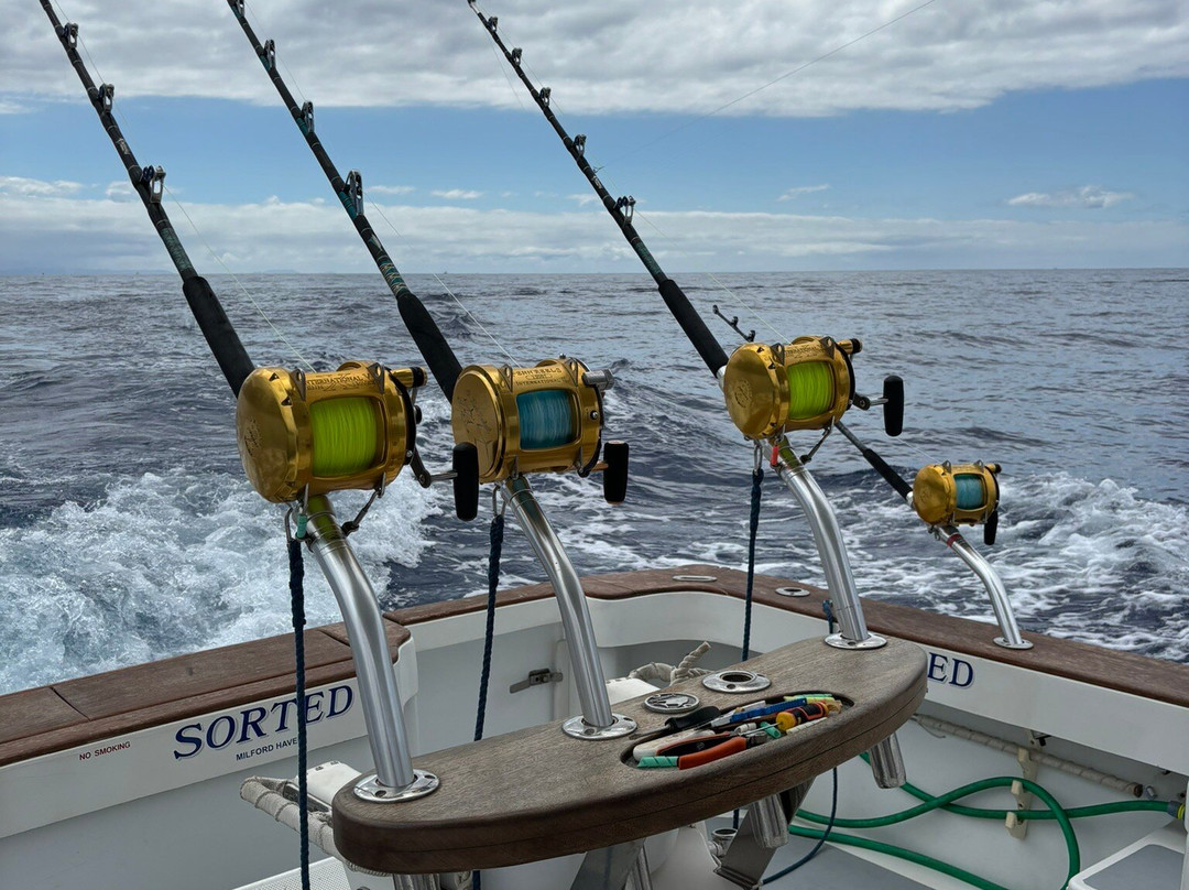 Madeira Marlin Charters-卡列塔必去景点