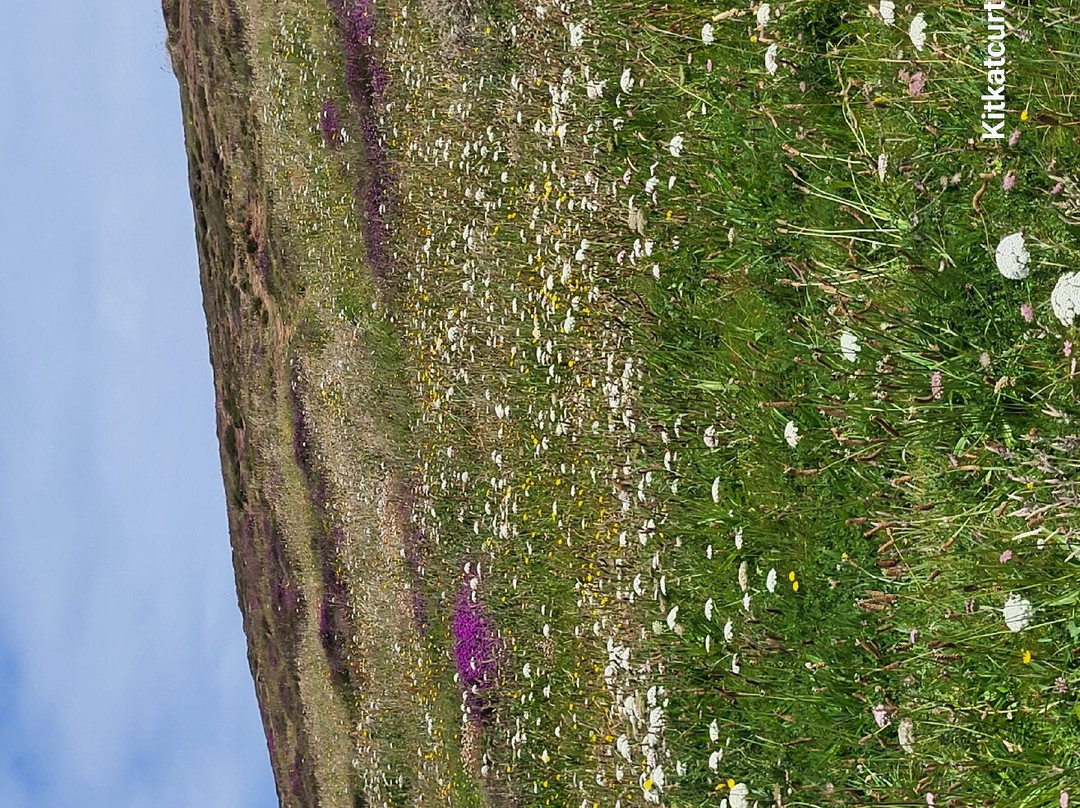 South West Coast Path - Godrevy Head-圣艾维斯必去景点