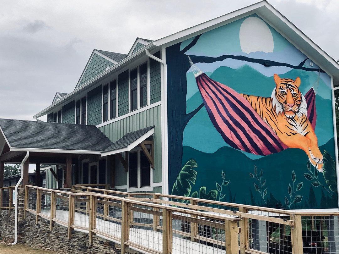 The Lazy Tiger Hostel