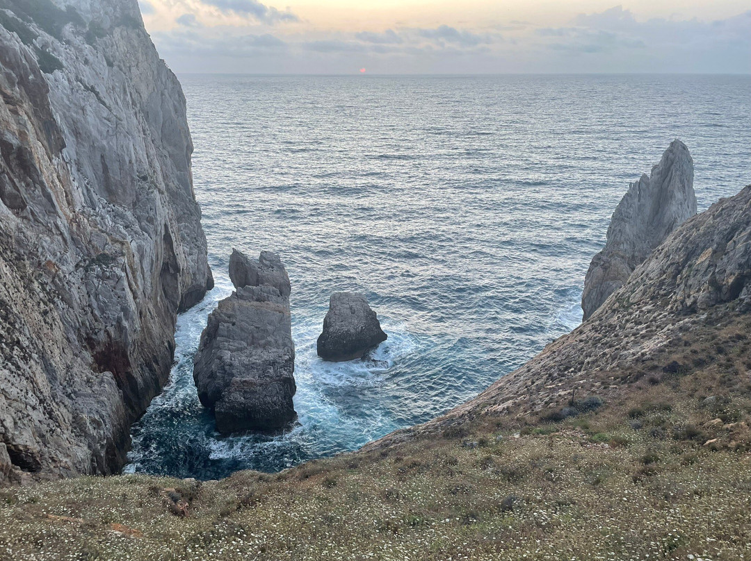 Hotel La Rosa dei Venti