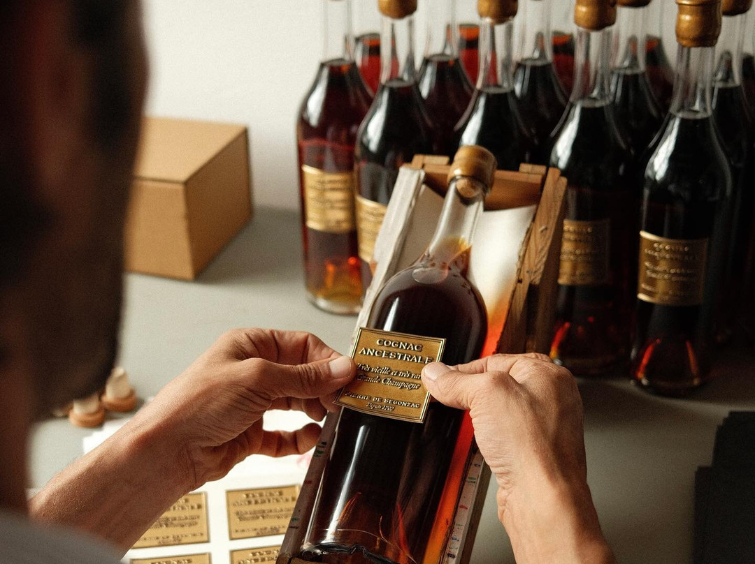 Cognac Pierre De Segonzac景点图片