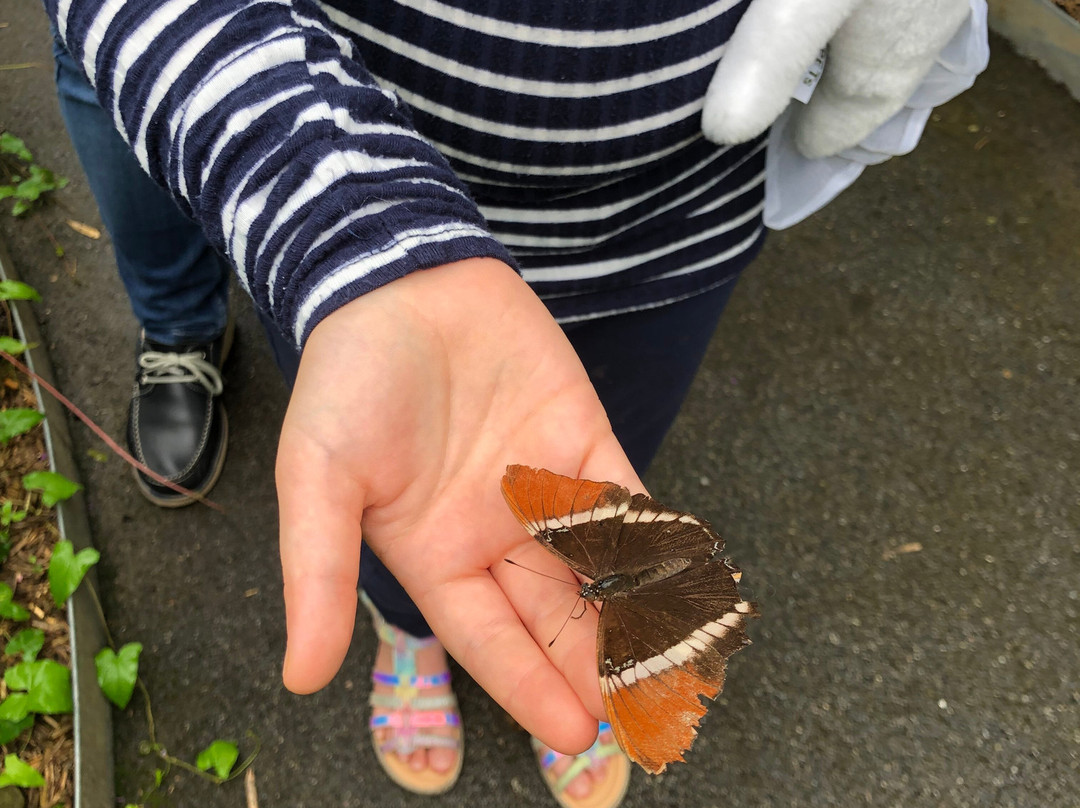 Insectarium de Lizio-Lizio必去景点