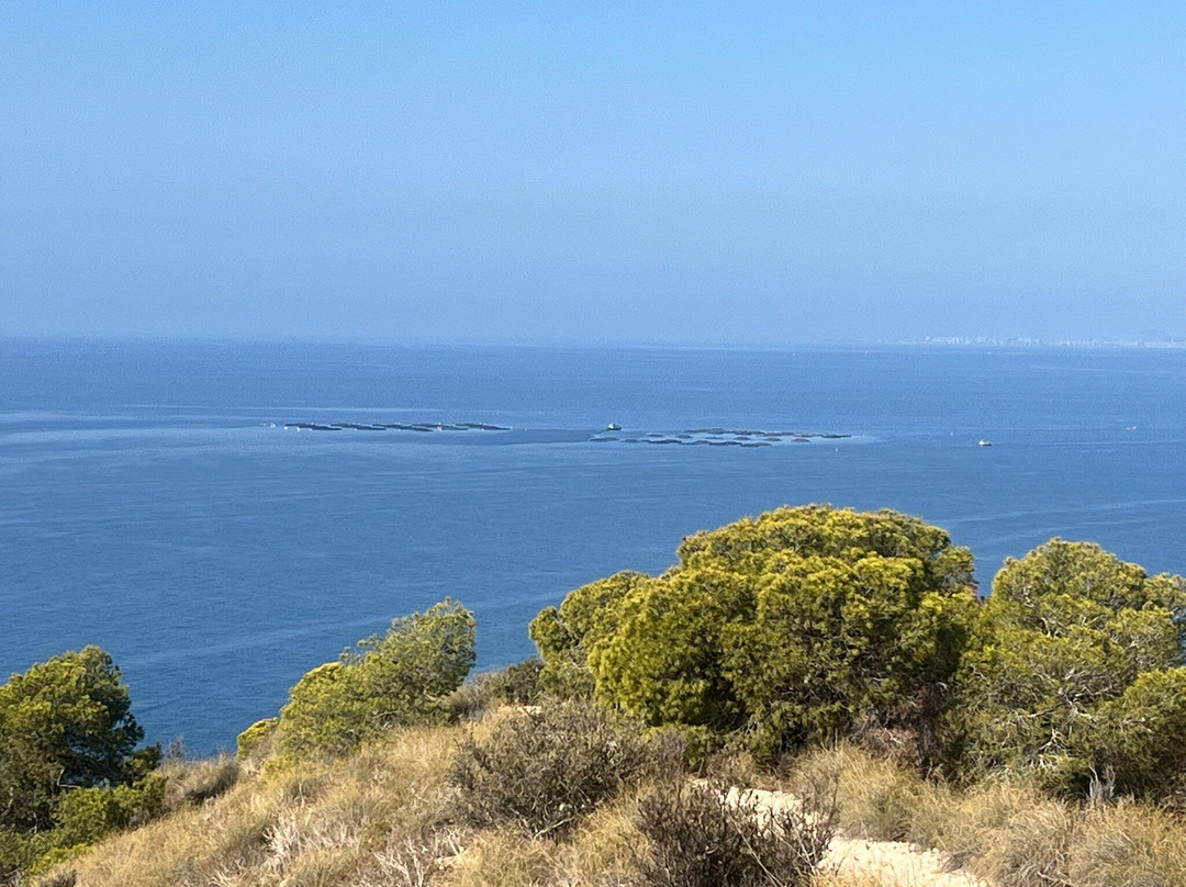Torre el Aguilo景点图片