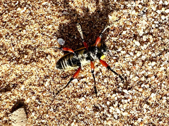 O'kevo Adventures-斯瓦科普蒙德必去景点