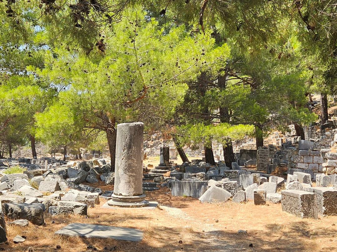 Priene Athena Tapınağı-Soke必去景点