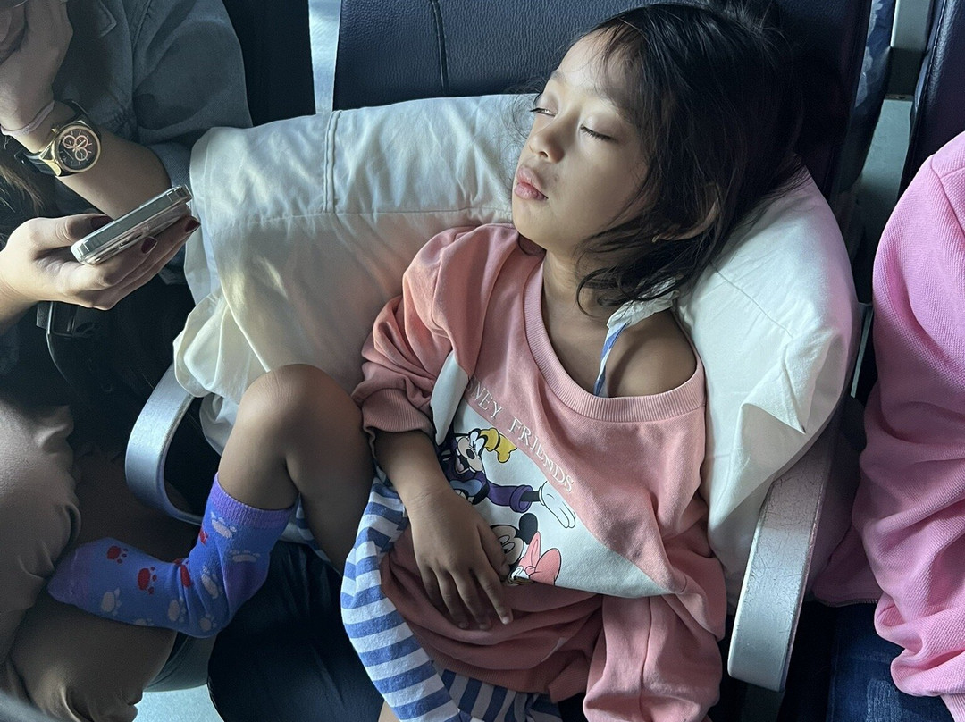 FastCat-文珍俞巴必去景点