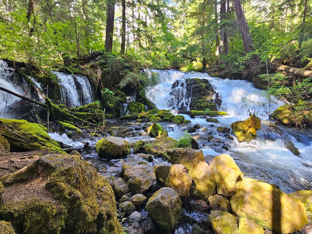 Prospect Historic Hotel - Motel and Dinner House主图