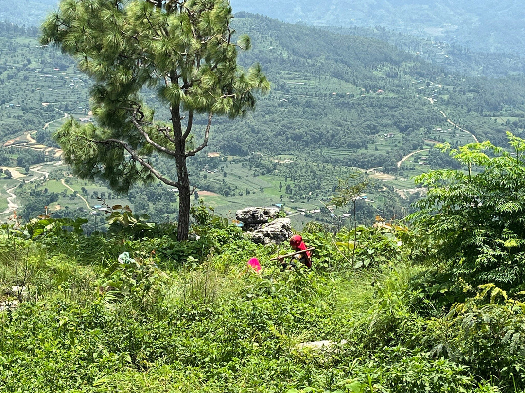 Bandipur Samira Homestay & Mountain View Restaurant主图