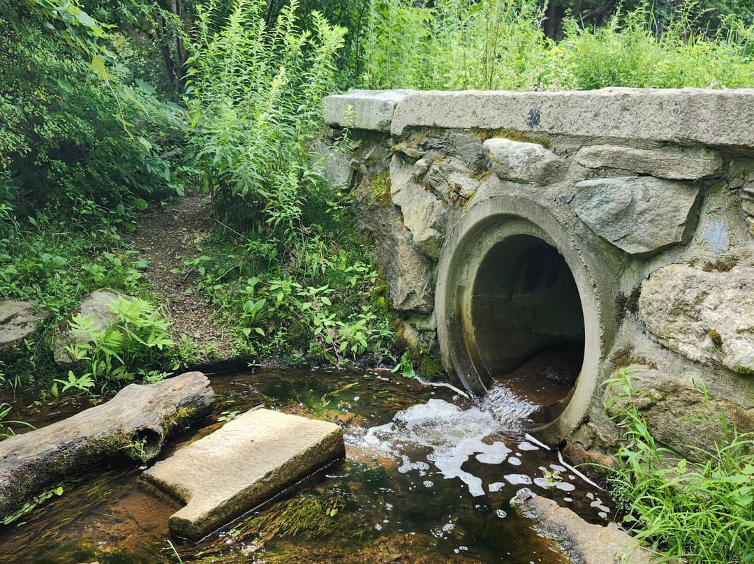 Emerson-Thoreau Amble-康科德必去景点