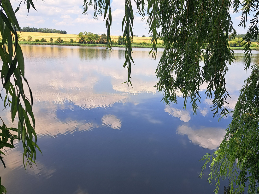 Naturpark Geras景点图片