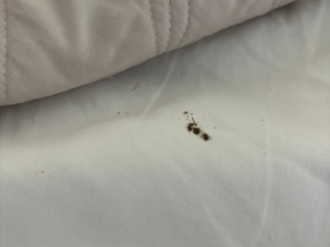 Three Rivers Inn主图