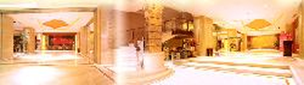 玫瑰大酒店主图