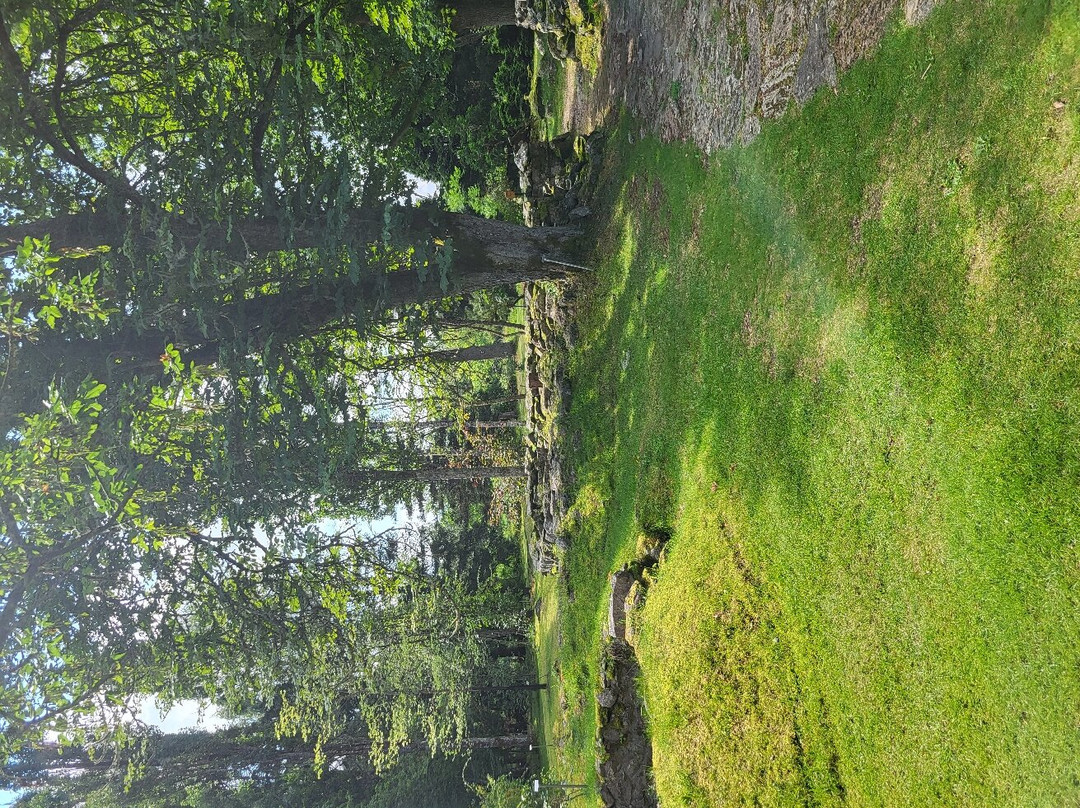 Alphems Arboretum景点图片