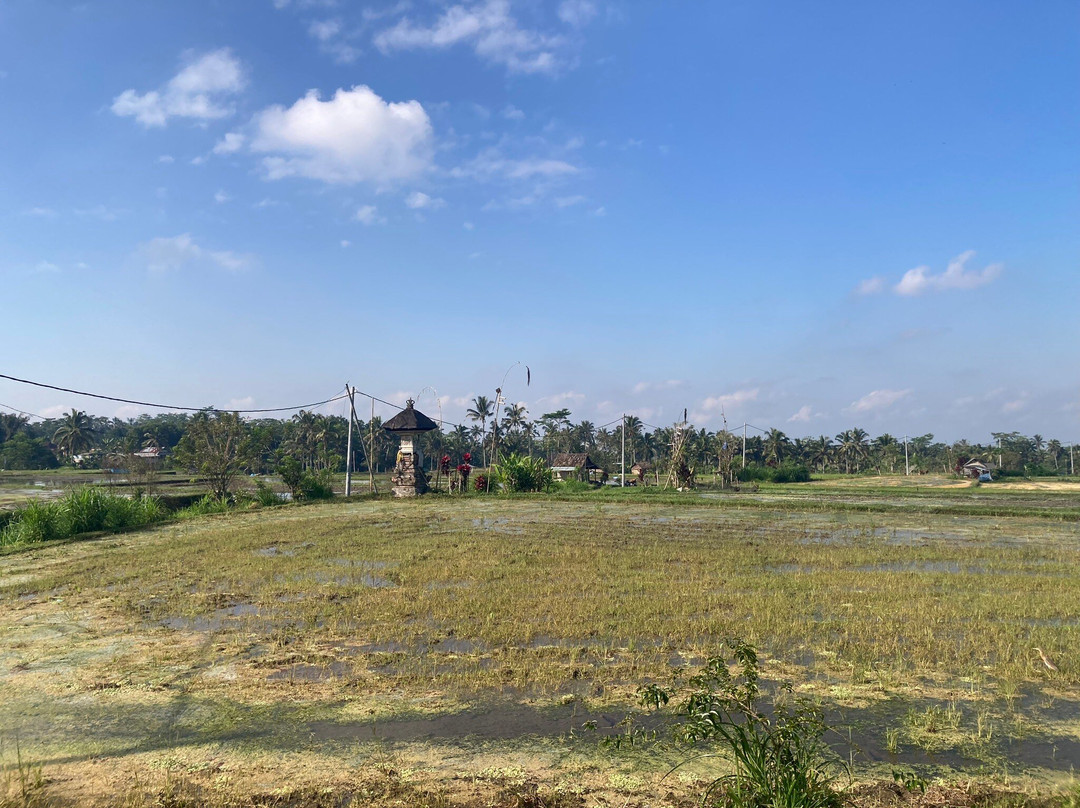 Ubud Horse Stables-德格拉朗必去景点