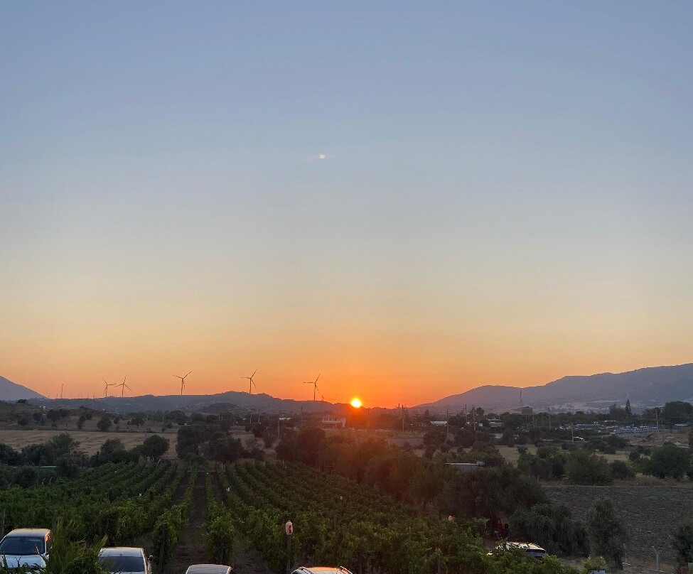 Datca Vineyard & Winery景点图片
