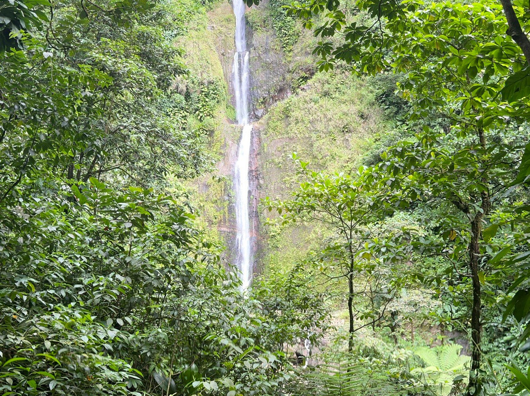Trace des chutes Moreau-Goyave必去景点