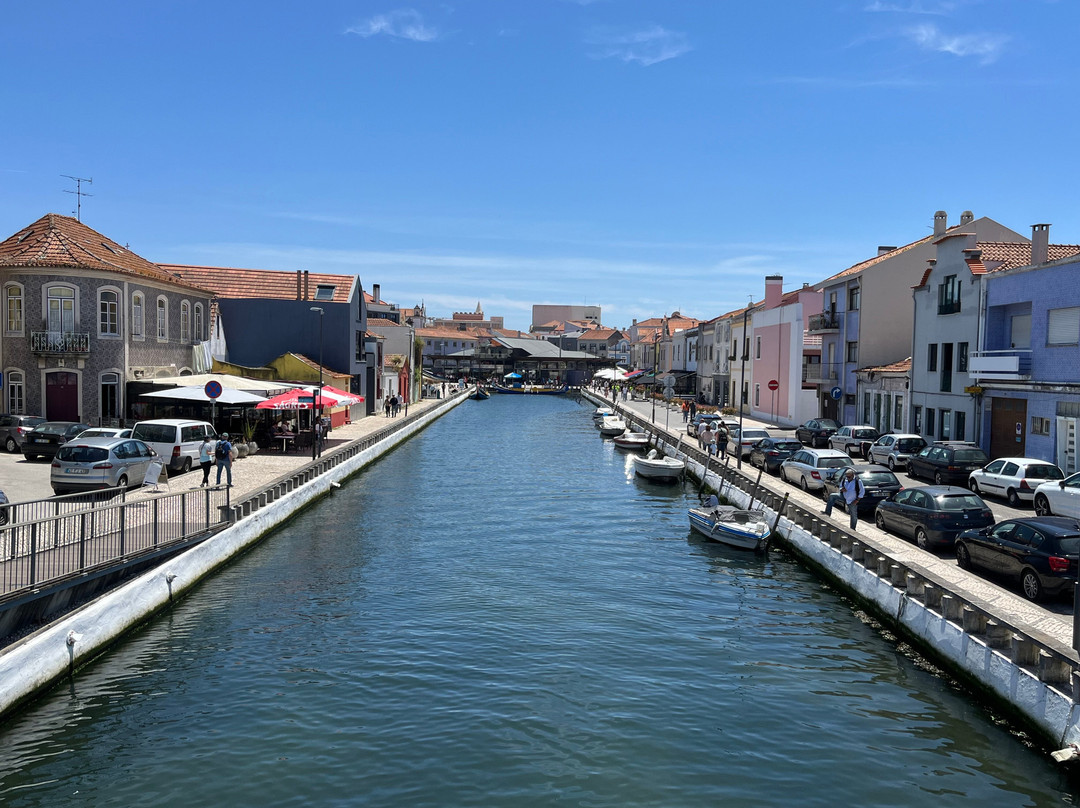 Canal Central de Aveiro景点图片