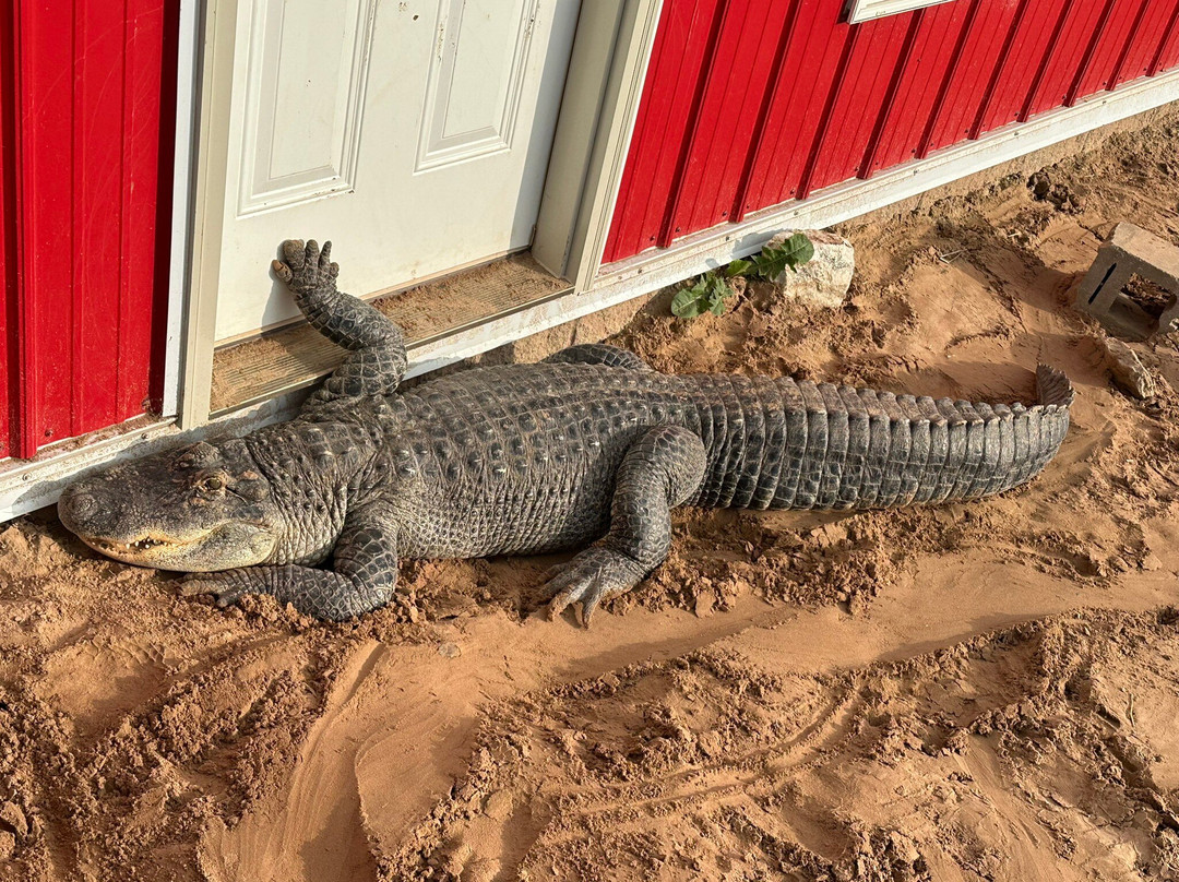 Doc's Zoo-Bonduel必去景点