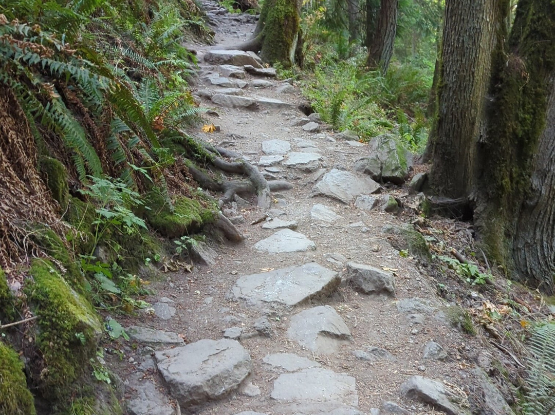 Poo Poo Point - Chirico Trail景点图片