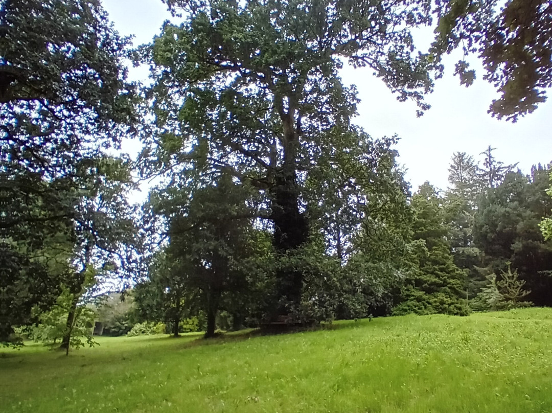 Tullynally Castle Gardens景点图片