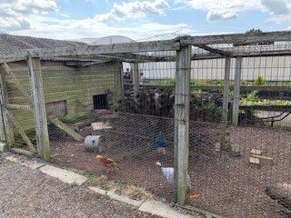 Lane's Garden Centre Open Farm-德比必去景点