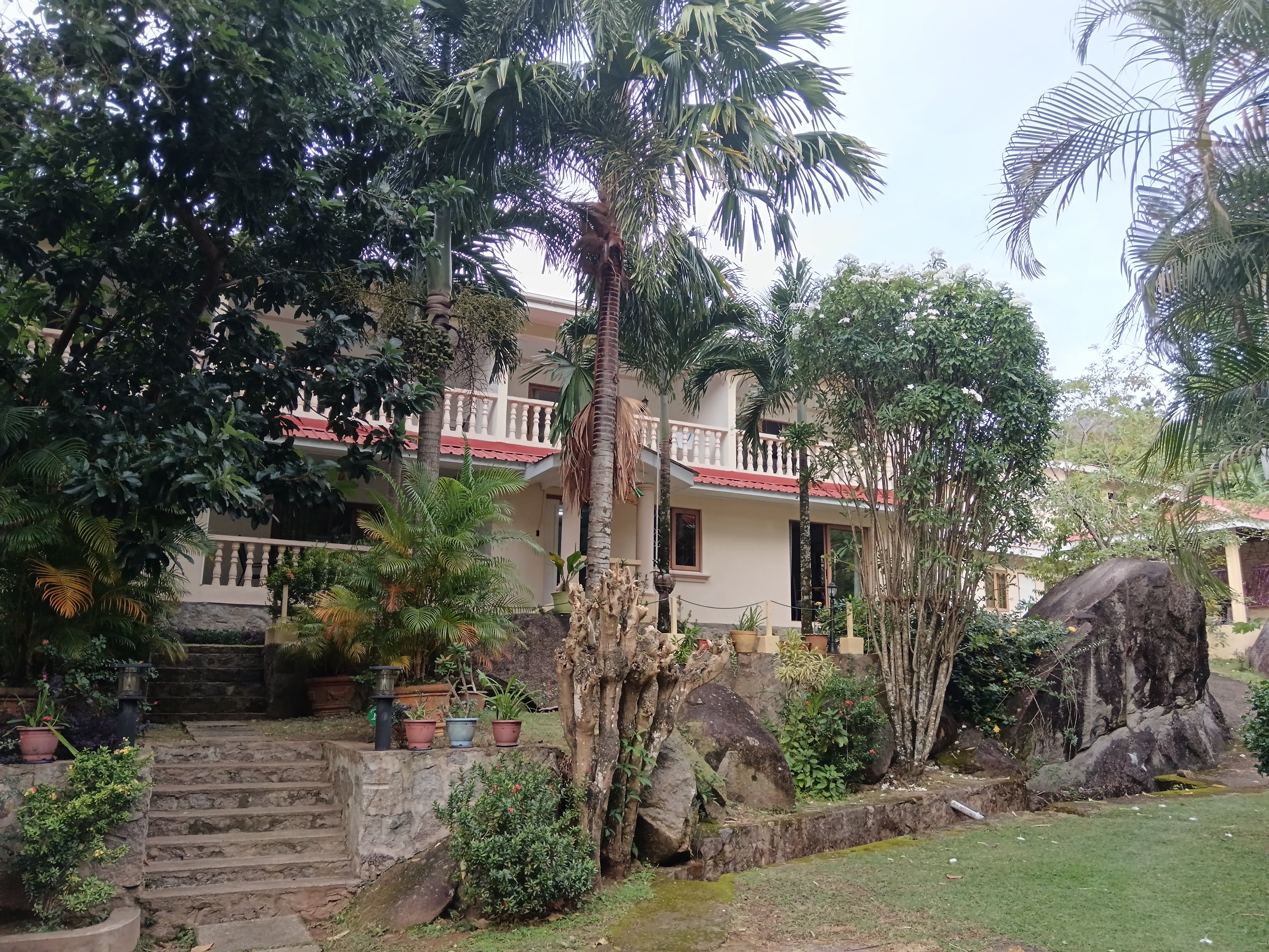 Forest Lodge Guest House-官方