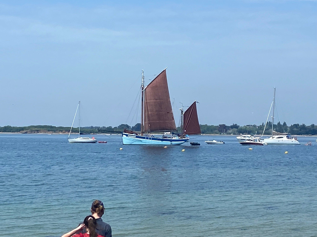 LES VOILES DU GOLFE_ BATEAU ANDRE YVETTE-Baden必去景点