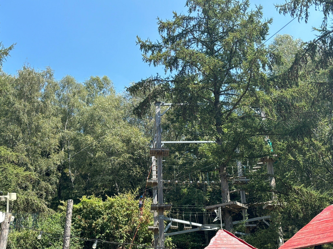 Wonderwood景点图片