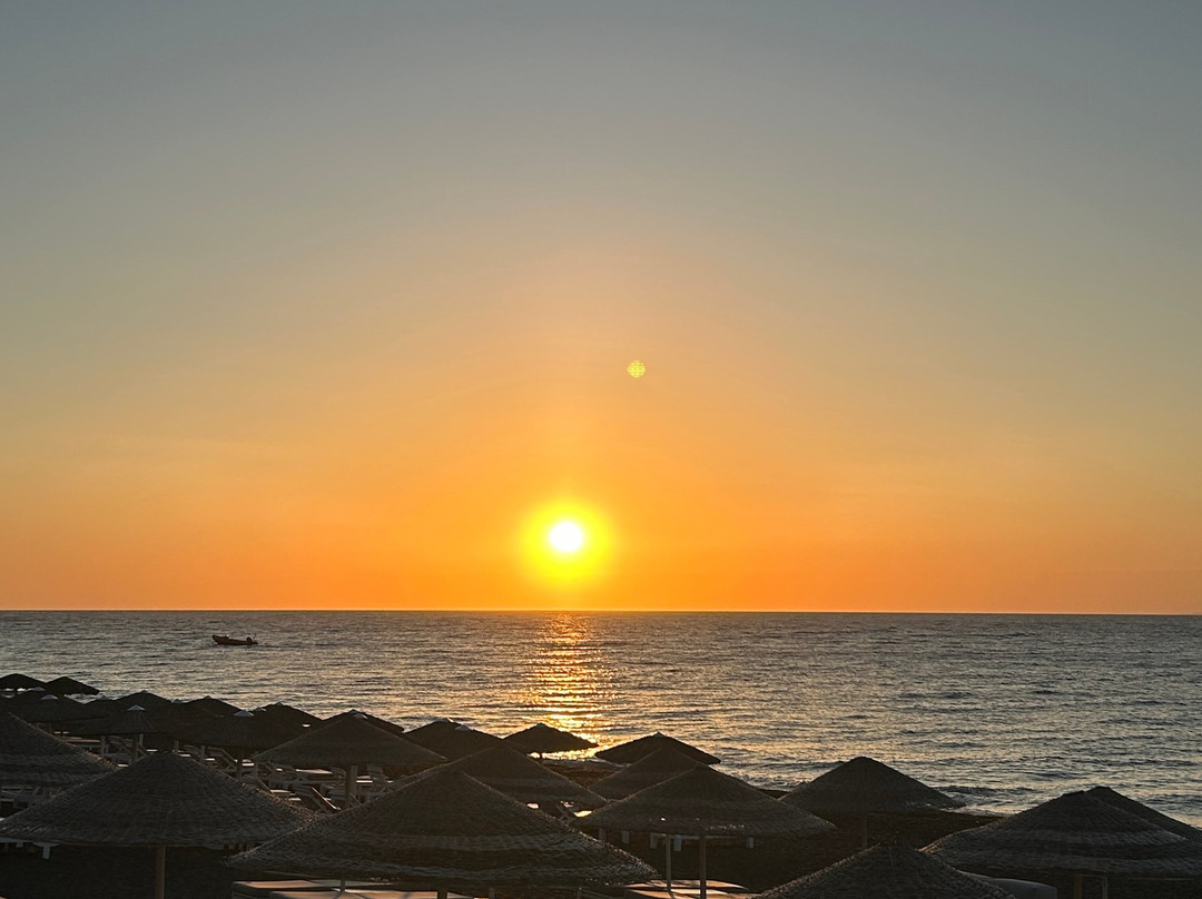 Bellonias Villas主图