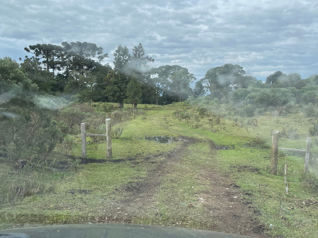 Parque Natural Municipal da Ronda