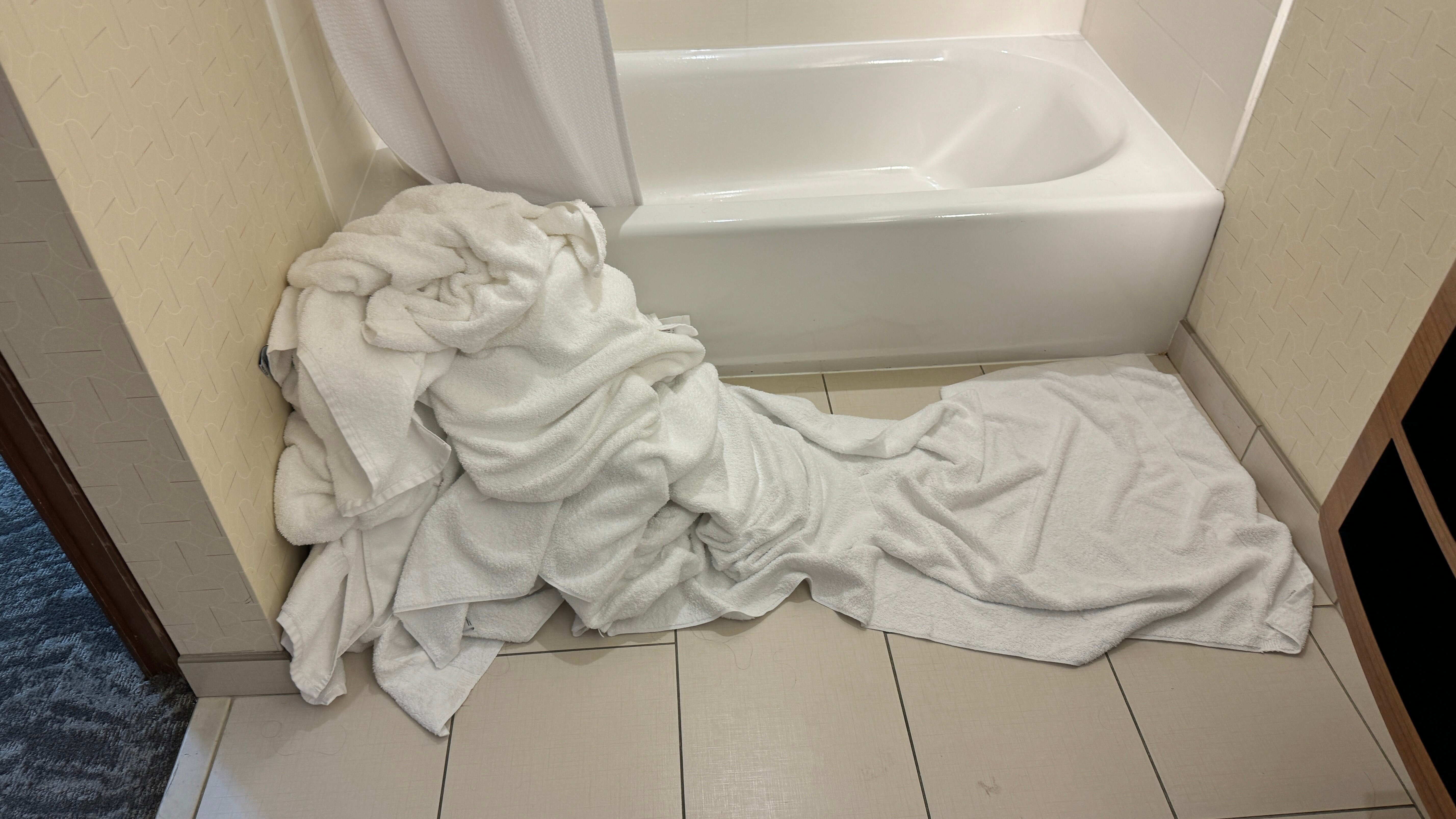 Springhill Suites Chattanooga Downtown/cameron Harbor-浴室