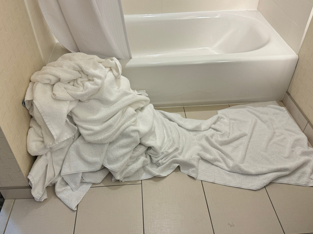 SpringHill Suites by Marriott Chattanooga Downtown/Cameron Harbor主图